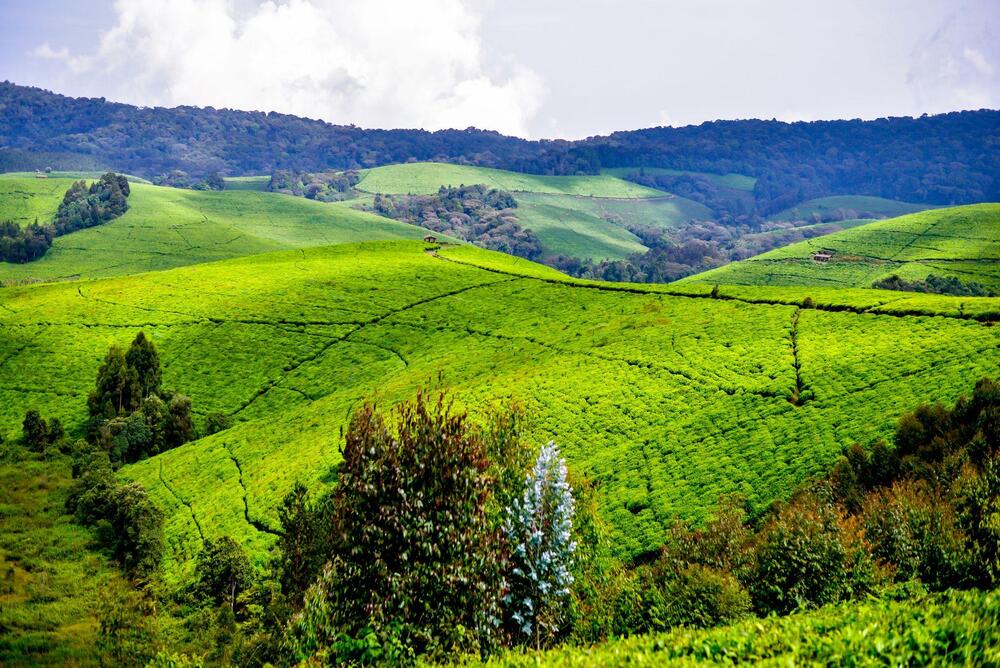 4 DAYS CULTURE AND NATURE BURUNDI TOUR