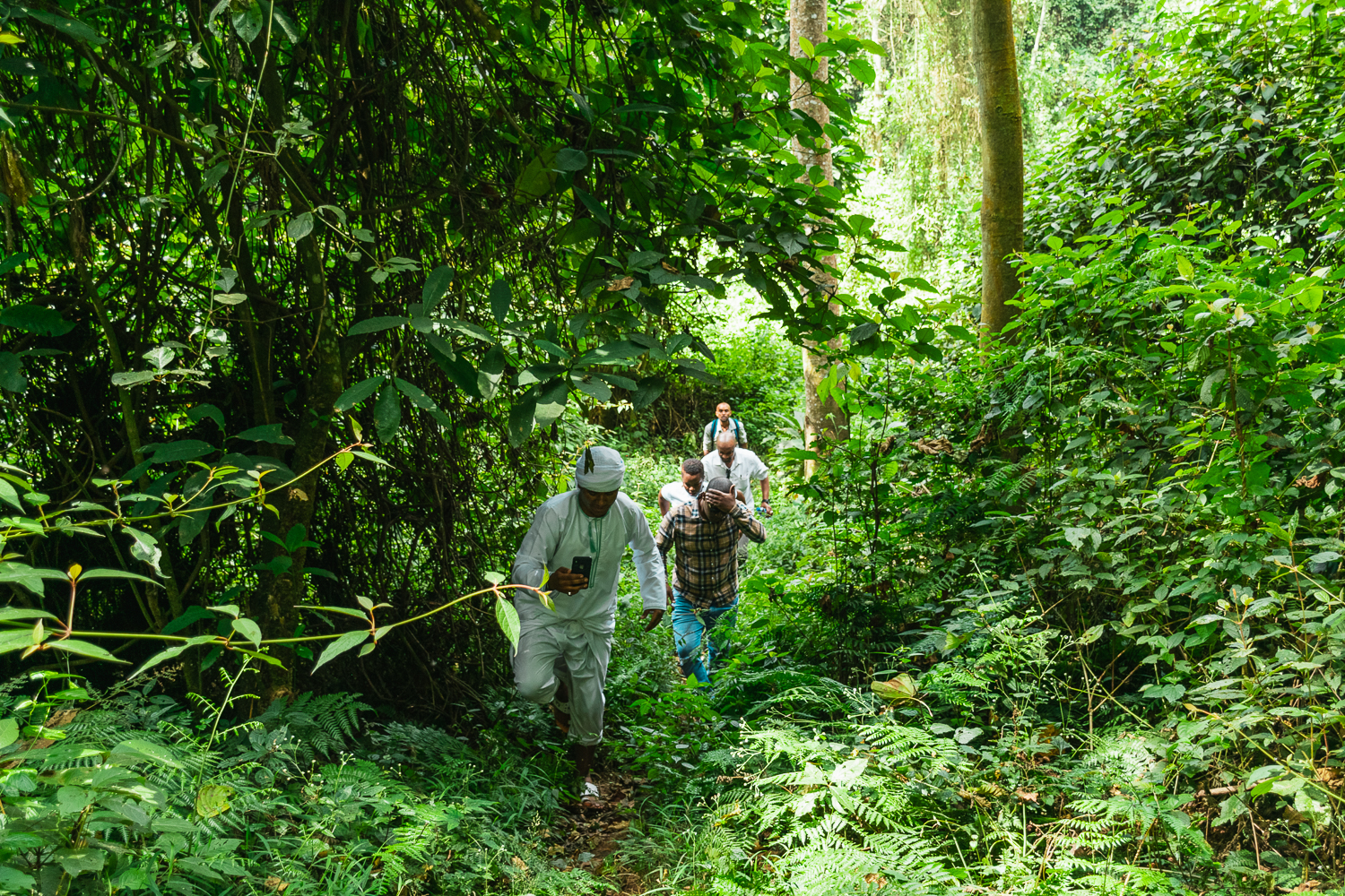 Kibira national park