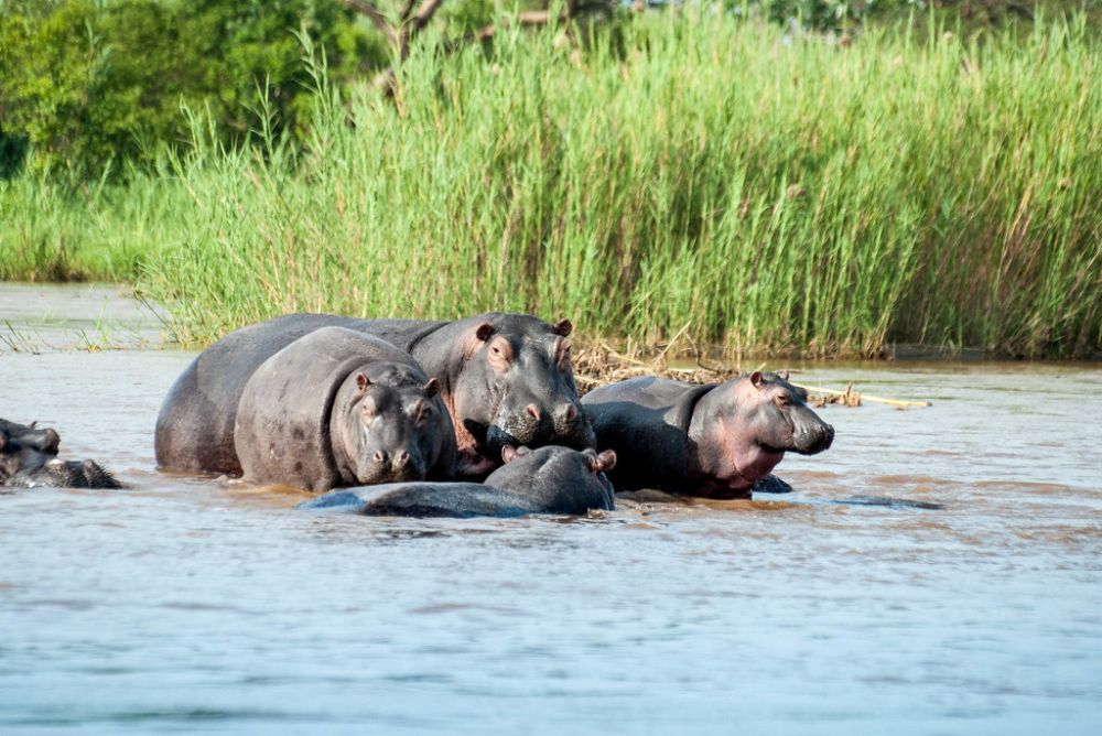 Rusizi National Park